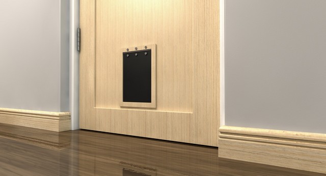 Cat Flap Installation Chiswick, W4