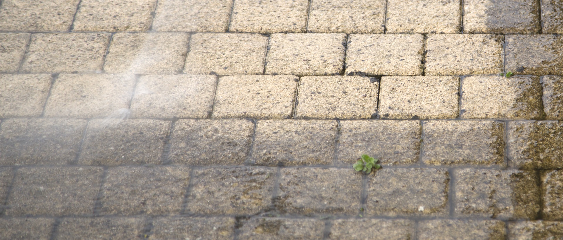 flagging and patios W4